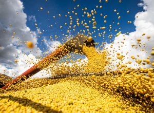 producao-agricola-brasileira-superou-r$-927-bilhoes-em-2025